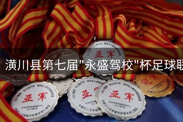 潢川县第七届"永盛驾校"杯足球联赛圆满收官