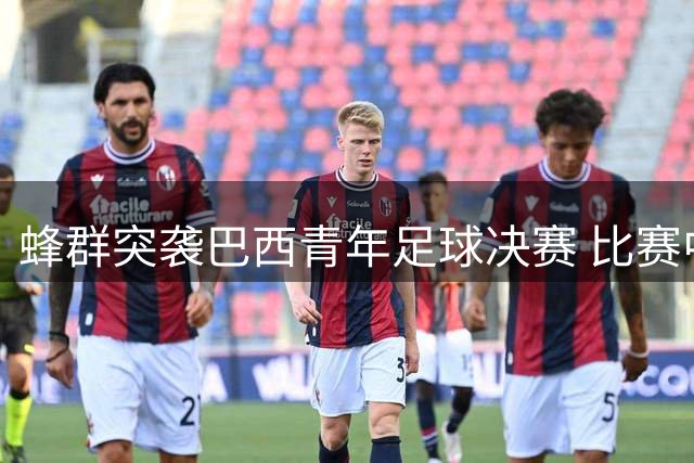 蜂群突袭巴西青年足球决赛 比赛中断球员集体卧倒避险